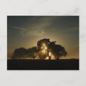 Op deze ochtend briefkaart (Voorkant)