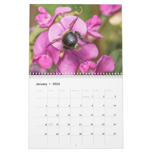 Op dicht en persoonlijk met de Foto van bijen Kalender (Jan 2026)