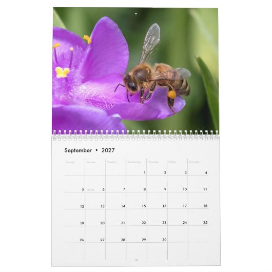 Op dicht en persoonlijk met de Foto van bijen Kalender (Sep 2027)