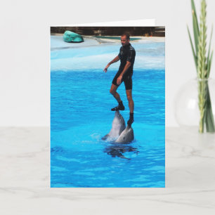 Op dolfijnen blijven staan feestdagen kaart