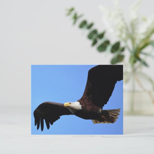 Op Eagle Wings Briefkaart (Staand voorkant)