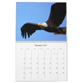 Op Eagle Wings Kalender (Jan 2027)