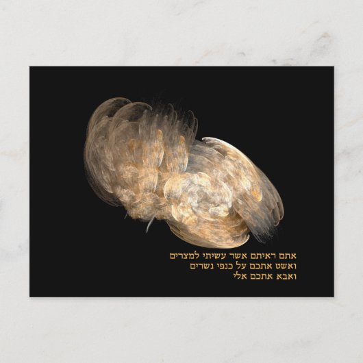 Op Eagle's Wings Briefkaart (Voorkant)