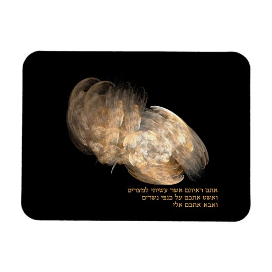 Op Eagle's Wings Magneet (Horizontaal)