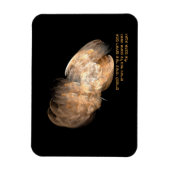 Op Eagle's Wings Magneet (Verticaal)