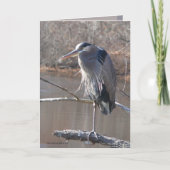 Op Één Been Kaart (Voorkant)