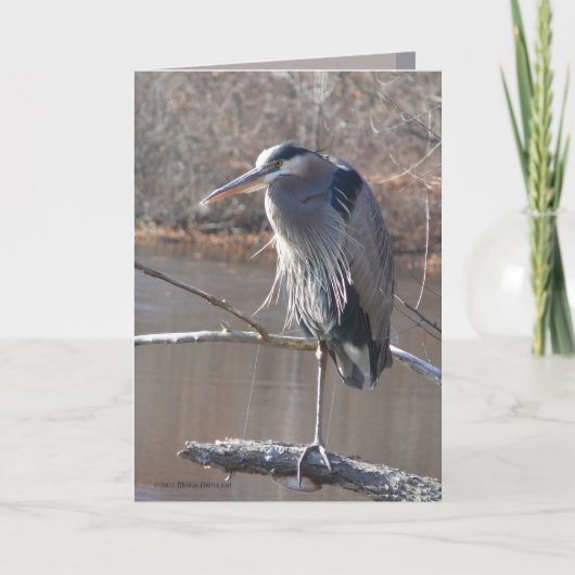 Op Één Been Kaart (Voorkant)