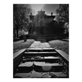 "Op een geslagen pad" Foto Afdruk