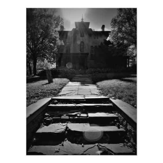 "Op een geslagen pad" Foto Afdruk (Voorkant)