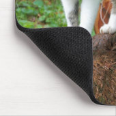 Op een kat loopje - Kat Mousepad Muismat (Hoek)