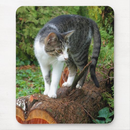 Op een kat loopje - Kat Mousepad Muismat (Voorkant)