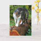 Op een kat lopen - Kat Wenskaart Kaart (Gele Bloem)