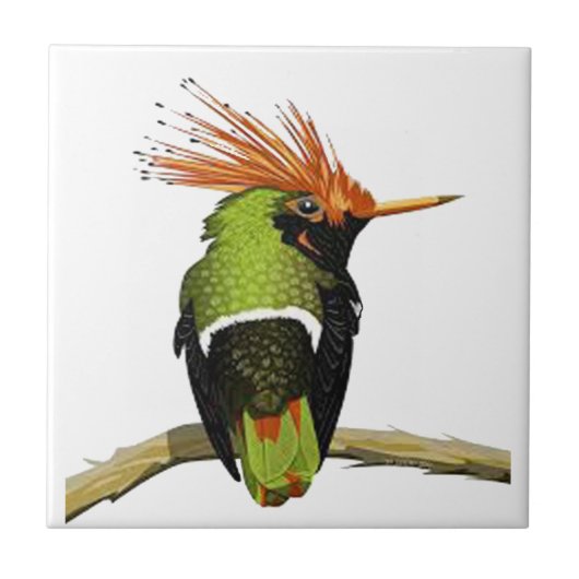 OP EEN LIMB TEGELTJE (Voorkant)