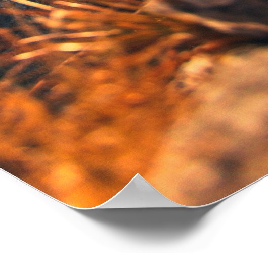 Op een majestueuze herfstrotsen poster (Hoek)