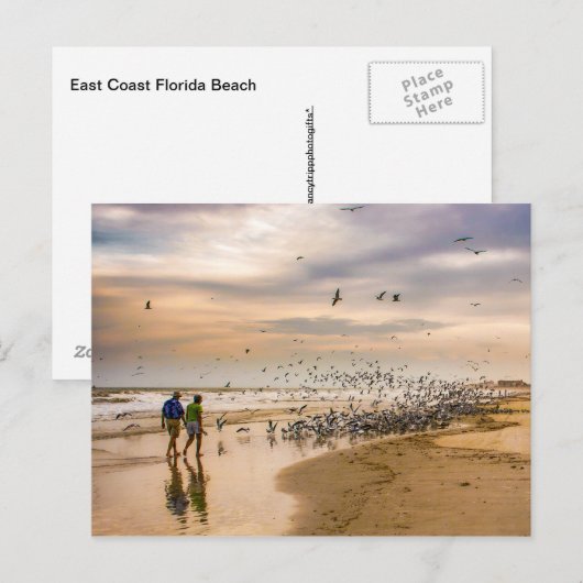 Op een strand in Florida wandelen Briefkaart (Voorkant / Achterkant)