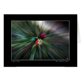 Op een Wing en een Prayer