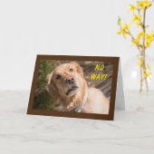 OP GEEN ENKELE MANIER DRAAIEN DE KAART **60** (Gele Bloem)