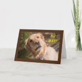 OP GEEN ENKELE MANIER DRAAIEN DE KAART **70** (Voorkant)