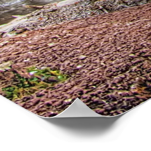 Op Gooseberry Herfsten Poster (Hoek)