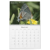 Op Gossamer Wings 2011 Butterfly Calendar Kalender (Mar 2027)