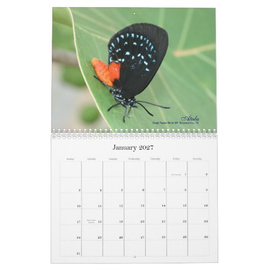 Op Gossamer Wings 2011 Butterfly Calendar Kalender (Jan 2027)