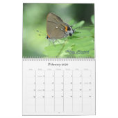 Op Gossamer Wings 2011 Butterfly Calendar Kalender (Feb 2026)