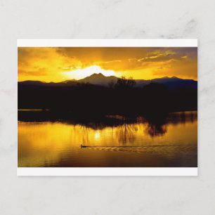 Op gouden vijvers briefkaart