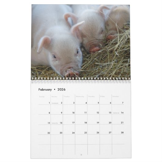 Op het Boerderij 2018 kalender voor leefbare wilde (Feb 2026)