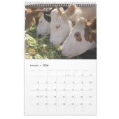 Op het Boerderij 2021 Kalender (Jan 2026)