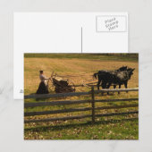 Op het Boerderij Briefkaart (Voorkant / Achterkant)
