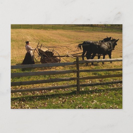 Op het Boerderij Briefkaart (Voorkant)