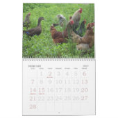 Op het Boerderij Kalender (Feb 2027)