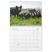 Op het Boerderij Kalender (Jan 2027)