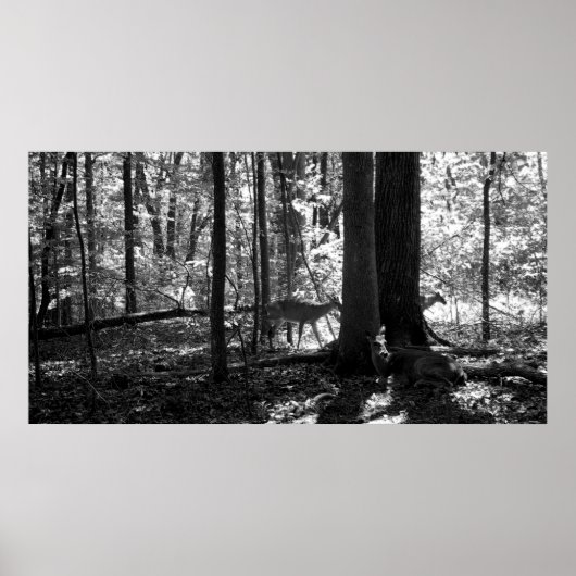 Op het Boerderij Poster (Voorkant)