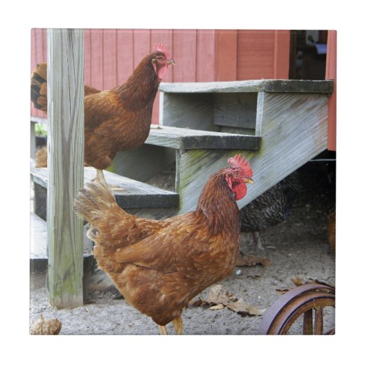 Op het Boerderij Tegeltje (Voorkant)