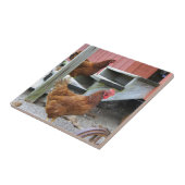 Op het Boerderij Tegeltje (Zijkant)