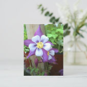 Op het Briefkaart na (Staand voorkant)