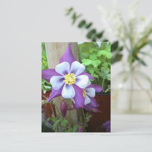 Op het Briefkaart na (Staand voorkant)