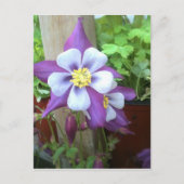 Op het Briefkaart na (Voorkant)