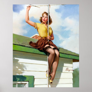 Op het dak poster