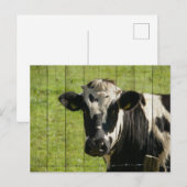 OP HET GEBIED... BRIEFKAART (Voorkant / Achterkant)