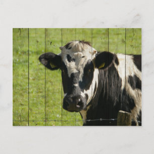 OP HET GEBIED... BRIEFKAART