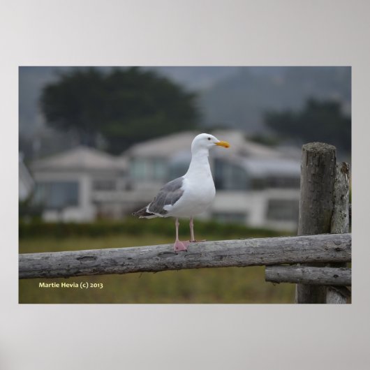 Op het hek poster (Voorkant)