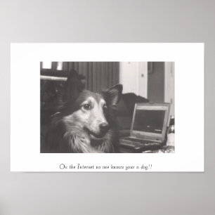 Op het internet kent niemand je hond!! poster