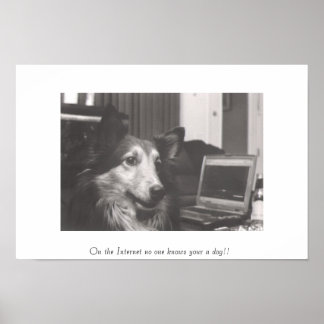 Op het internet kent niemand je hond!! poster
