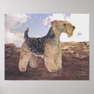 Op het platteland poster