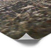 Op het Poster van de Wolf van de Tijdopnemer (Hoek)