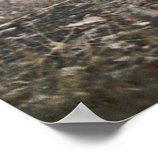 Op het Poster van de Wolf van de Tijdopnemer (Hoek)