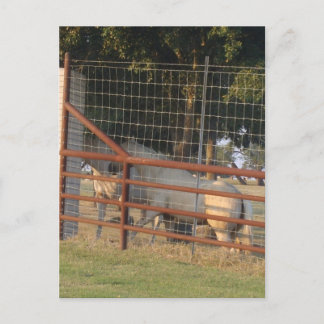 Op het Range Briefkaart