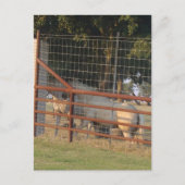 Op het Range Briefkaart (Voorkant)